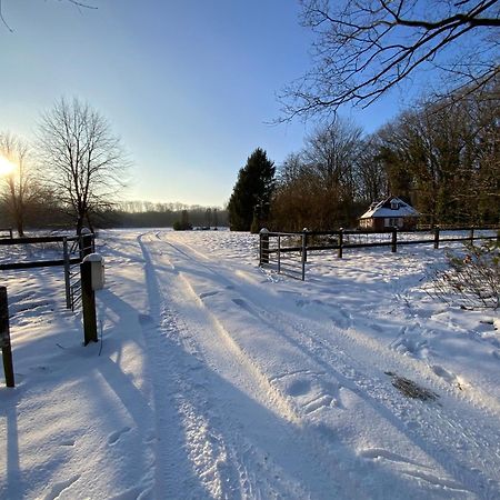 Vakantiewoning Heidebos In Het Nationaal Park Hoge Kempen Opglabbeek Экстерьер фото