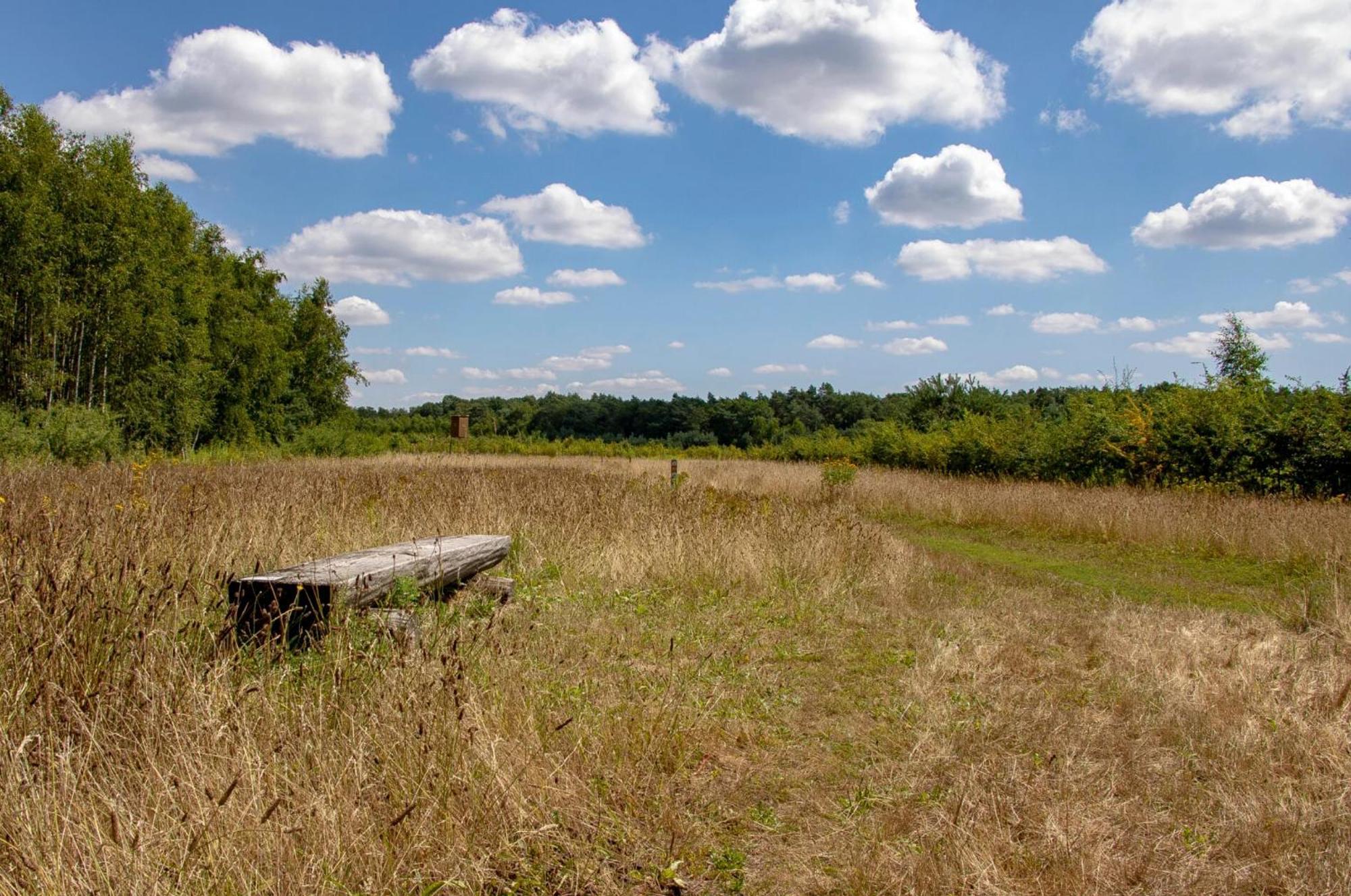 Vakantiewoning Heidebos In Het Nationaal Park Hoge Kempen Opglabbeek Экстерьер фото